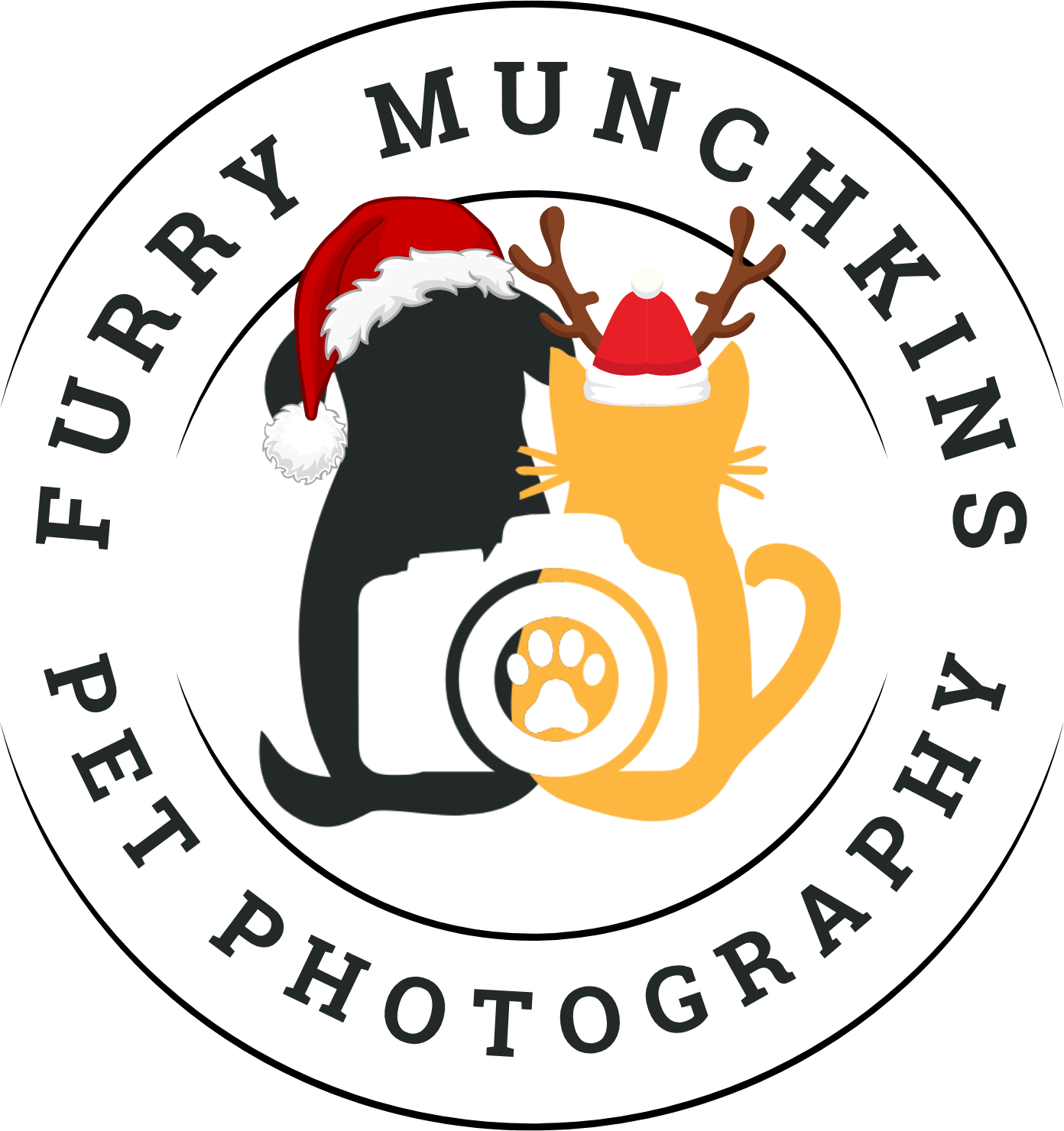 Furry Munchkins Pet Photography